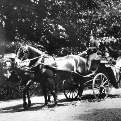 Ollands House - Carriage &amp; Pair